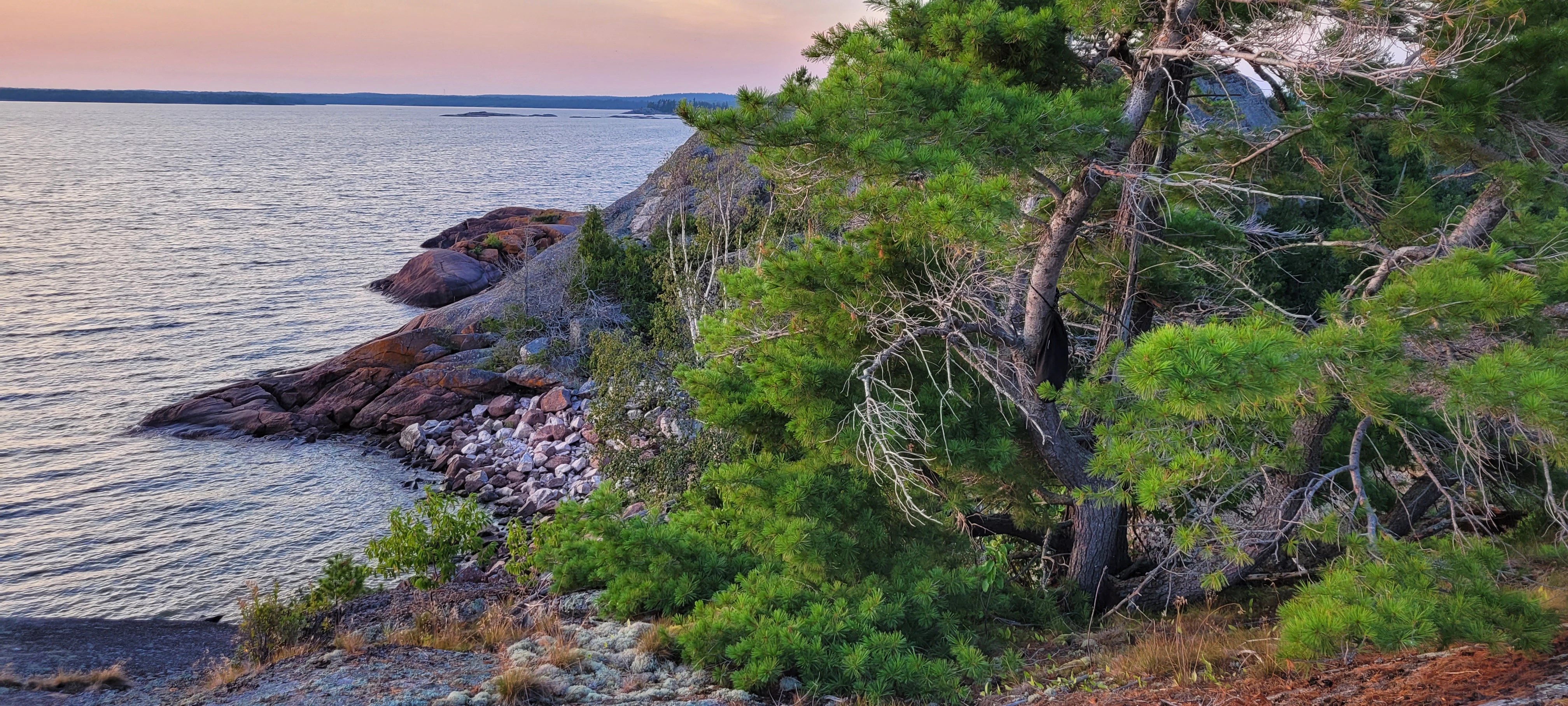 A golden hour view of the colorful rocks and lush pine trees on North Benjamin Island in Lake Huron's North Channel.